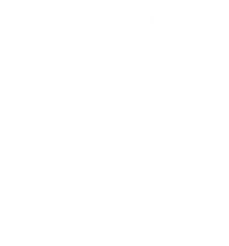 Puce batteuse des Rockin' Fleas