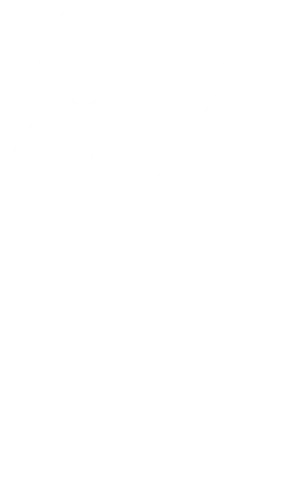 Puce Guitariste gauchère Puce guitariste des Rockin' Fleas